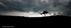dailyPhoto29